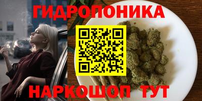 спиды Ярославль