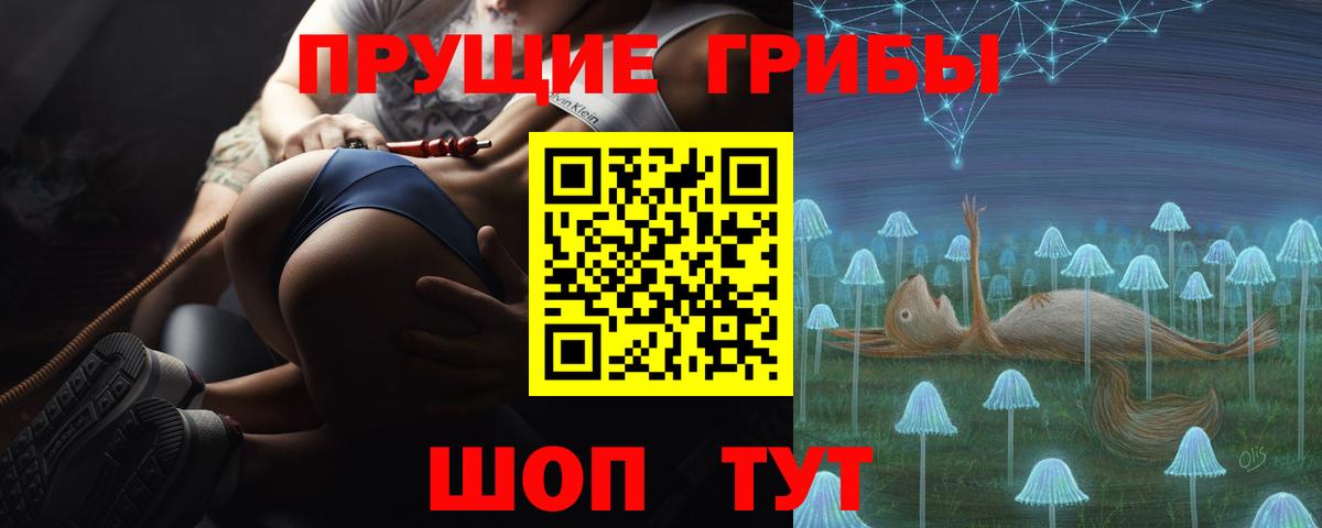 купить   Вход с VPN  Бузулук  Псилоцибиновые грибы Psilocybine cubensis 